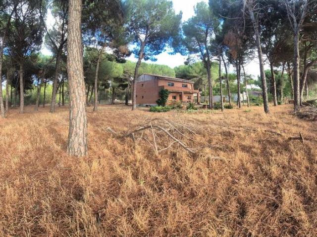 Casa chalet en Venta en Laguna de Duero