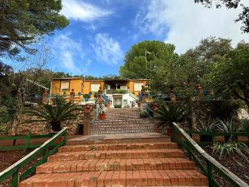 Plaza de las Tendillas, Córdoba, Centro de Córdoba, Las Quemadas, Córdoba, Andalucía, Andalucía