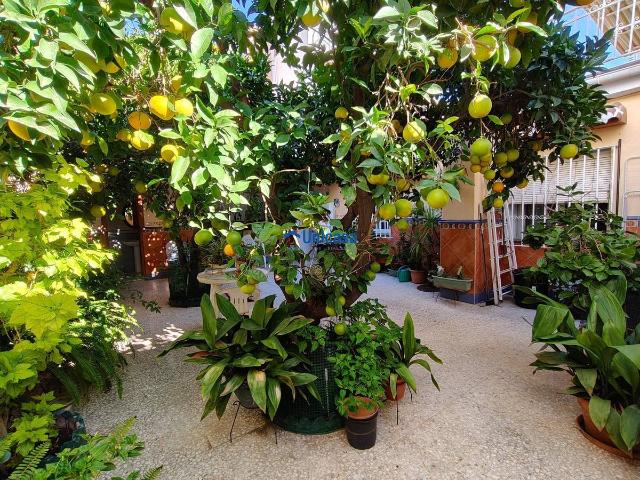 Casa chalet en Venta en Los Almendros El Limonero El Tomillar