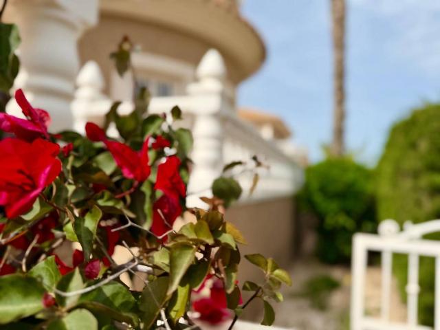 Casa chalet en Venta en Los Balcones Los Altos