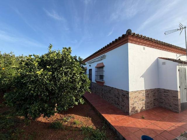 Casa chalet en Venta en Los Gallos