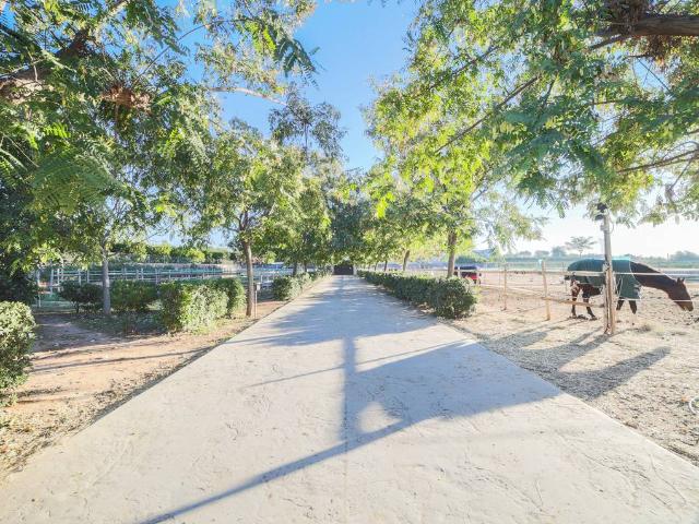 Casa chalet en Venta en Los Pinares La Masia