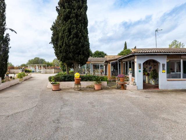 Casa chalet en Venta en Llucmajor pueblo