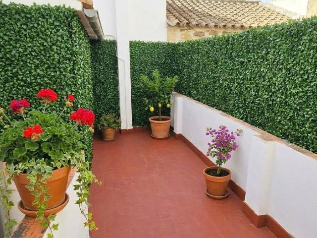 Casa chalet en Venta en Mangas Verdes Las Flores Parque del Sur