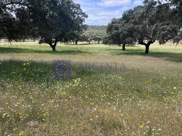 Casa chalet en Venta en Madroñera