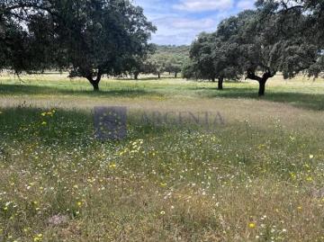 Casa chalet en Venta en Madroñera