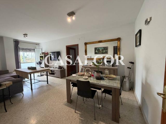 Casa chalet en Venta en Mairena del Alcor