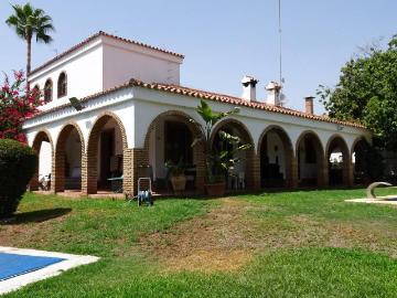Mairena del Alcor, Sevilla, Andalucía, Andalucía