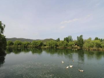 Casa chalet en Venta en Malagón