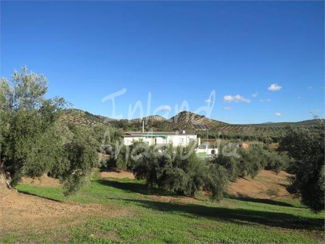 Casa chalet en Venta en Martos