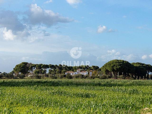 Casa chalet en Venta en Marchena