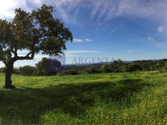 Casa chalet en Venta en Membrío