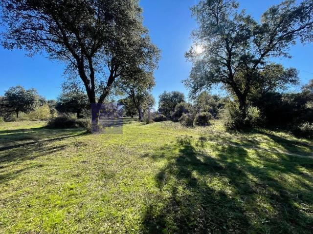 Casa chalet en Venta en Miajadas