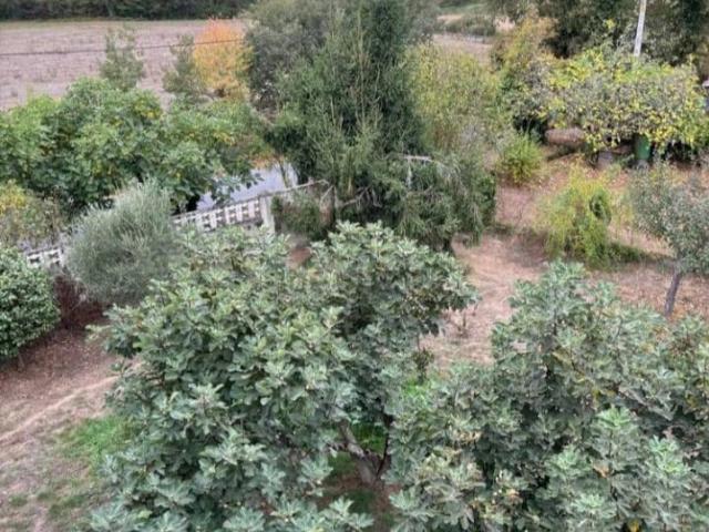 Casa chalet en Venta en Monforte de Lemos