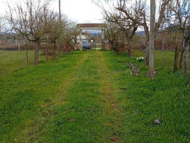Casa chalet en Venta en Monforte de Lemos