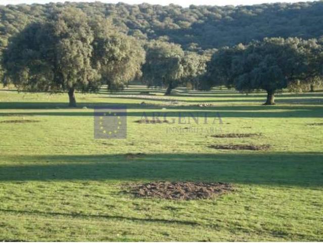 Casa chalet en Venta en Monroy