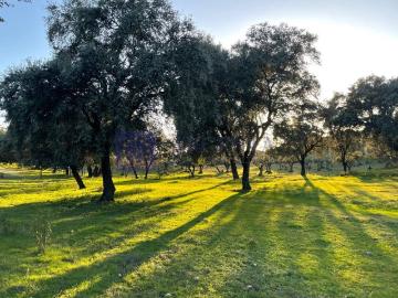 Casa chalet en Venta en Monroy