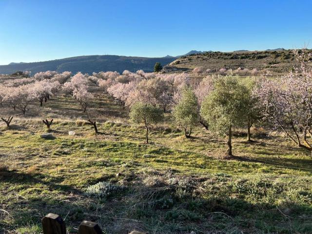Casa chalet en Venta en Moratalla