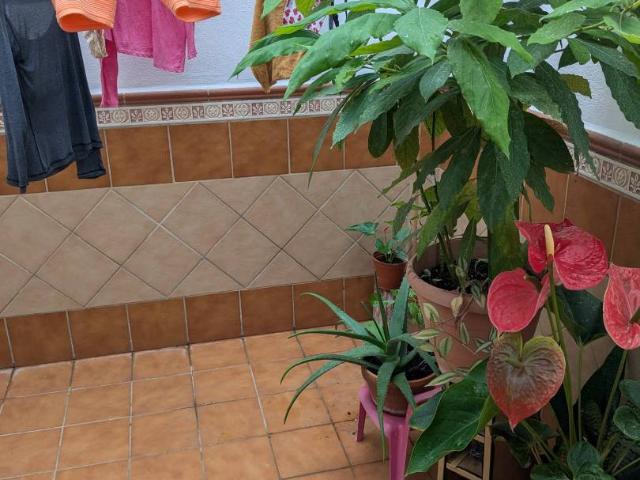 Casa chalet en Venta en Motril ciudad