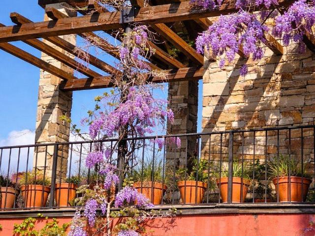 Casa chalet en Venta en Navalafuente