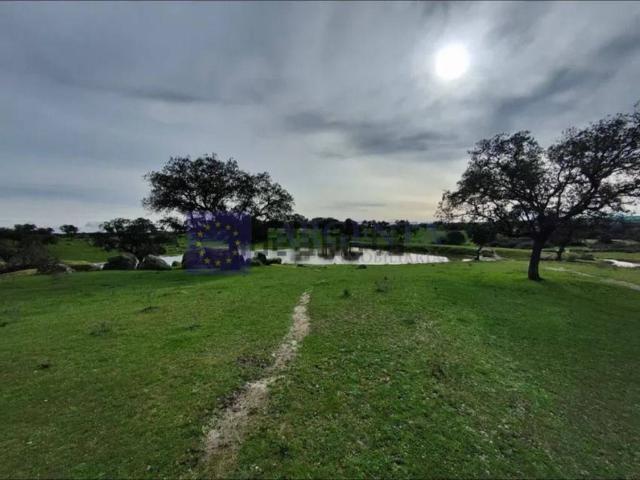 Casa chalet en Venta en Oeste