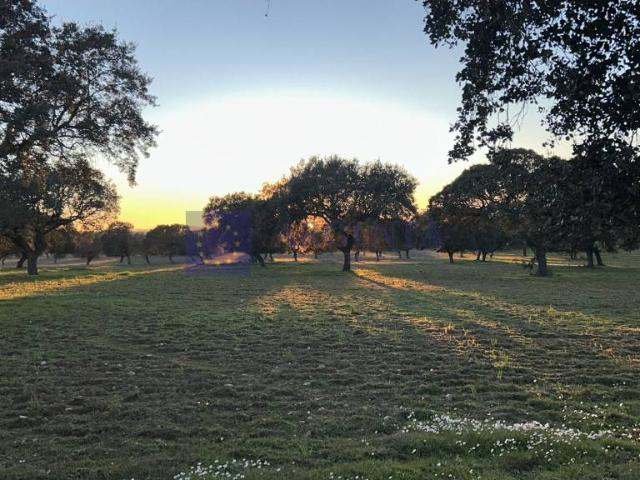Casa chalet en Venta en Oeste