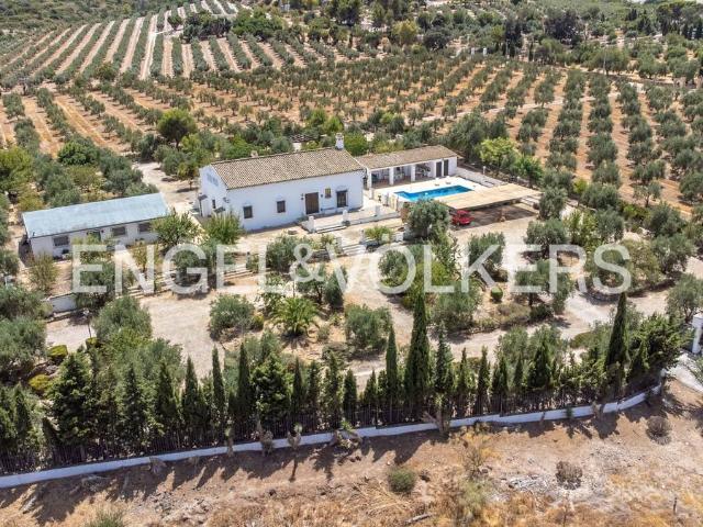 Casa chalet en Venta en Osuna