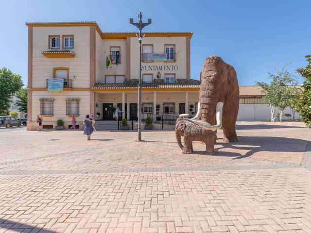 Casa chalet en Venta en Padul