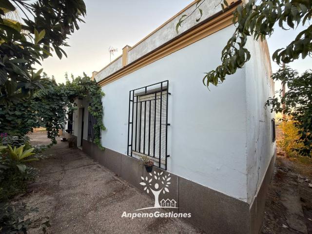 Casa chalet en Venta en Palma del Río