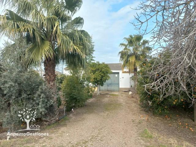 Casa chalet en Venta en Palma del Río