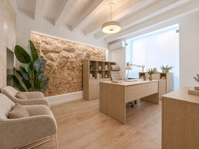 Casa chalet en Venta en Part Alta