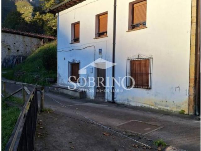 Casa chalet en Venta en Peñamellera Alta
