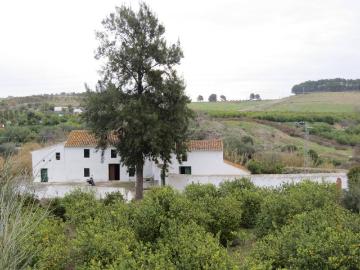Casa chalet en Venta en Gibralgalía
