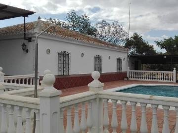 Plaza del Ayuntamiento, Malaga, Centro de Fuengirola, San Francisco, Fuengirola, Málaga, Andalucía, Andalucía