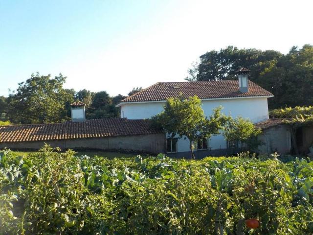 Casa chalet en Venta en Piñeiros Freixeiro