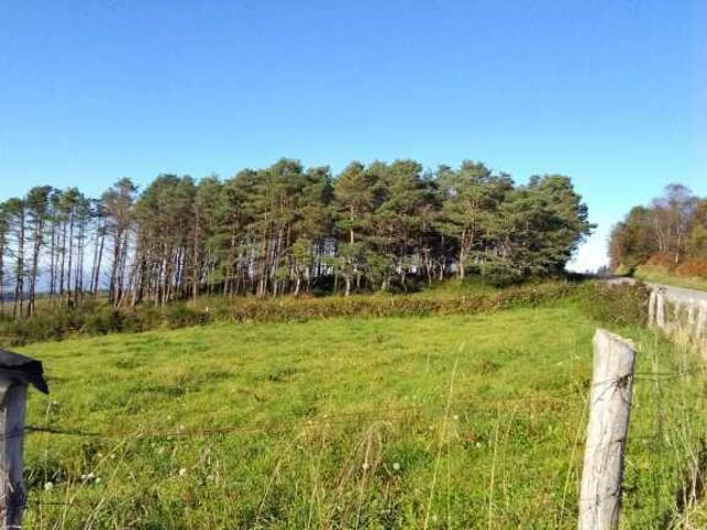 Casa Chalet en Venta en Pontenova, A Lugo