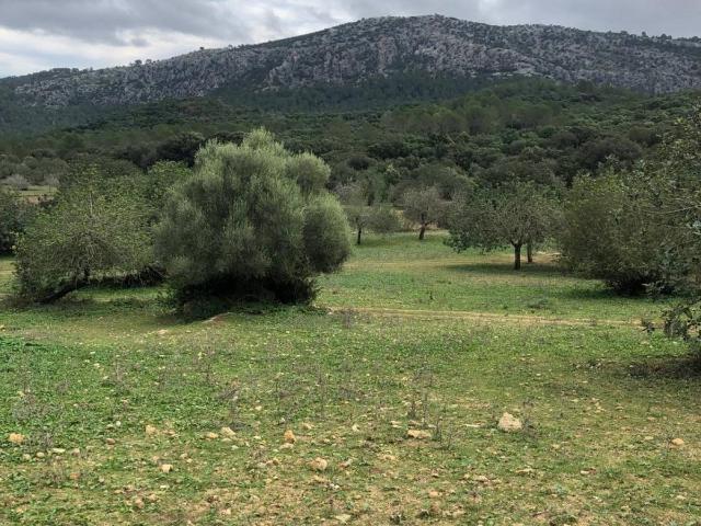 Casa chalet en Venta en Pollença Poble