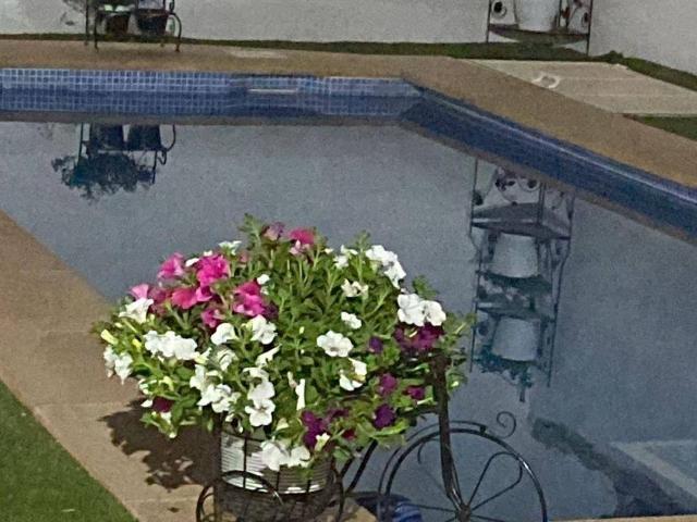Casa chalet en Venta en Pozohondo
