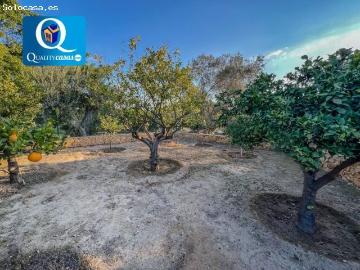 Casa en venta en Calle de Francia, Alicante - Jardín