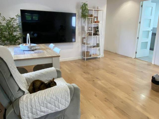 Casa chalet en Venta en Pla dels Aljubs