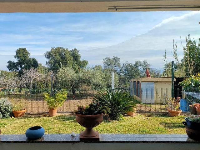 Casa chalet en Venta en Riudarenes