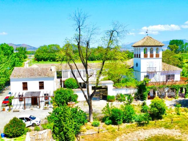 Casa chalet en Venta en Rosaleda Juventud