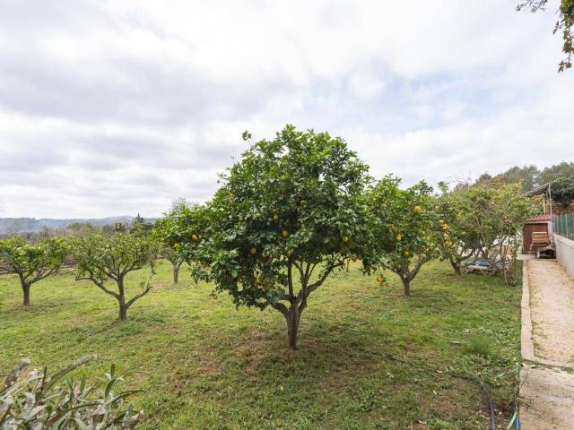 Casa chalet en Venta en Santa Gertrudis