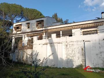Plaza de las Tendillas, Córdoba, Centro de Córdoba, Las Quemadas, Córdoba, Andalucía, Andalucía