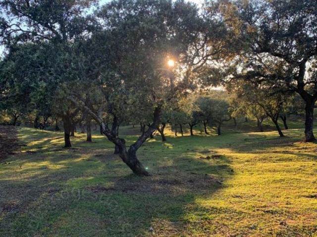 Casa Chalet en Venta en Santa Olalla Del Cala Huelva
