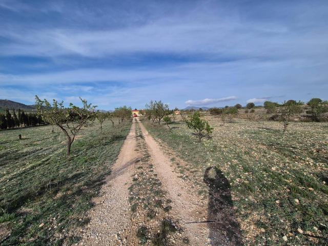 Casa chalet en Venta en Salinas
