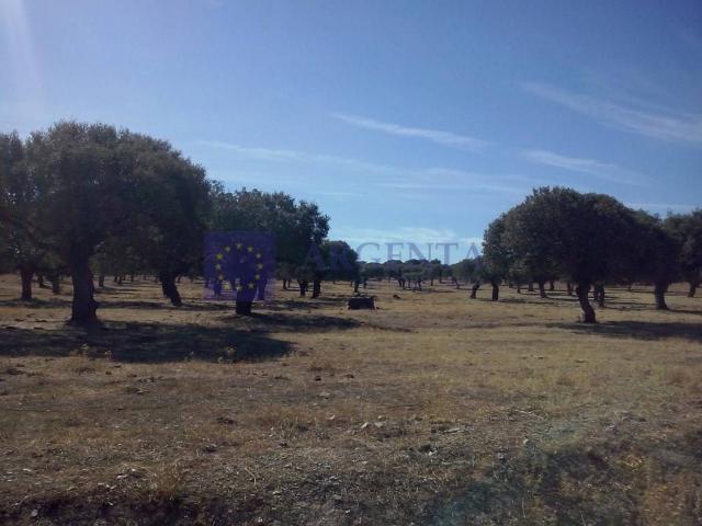 Casa chalet en Venta en Salorino