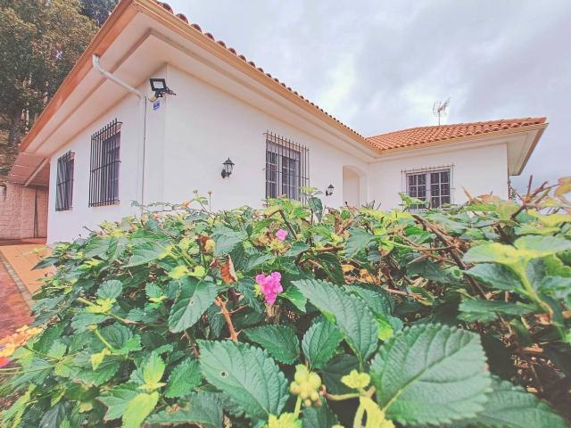 Casa chalet en Venta en Sedes Pedroso Doso