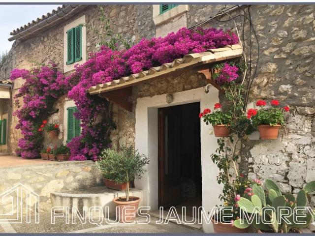 Casa chalet en Venta en Selva