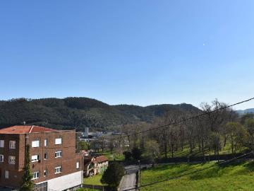 Valdecilla, Medio Cudeyo, Cantabria - Jardín